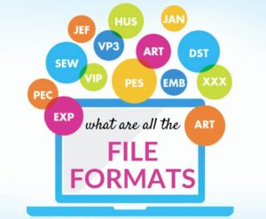 File formats for embroidery digitizing